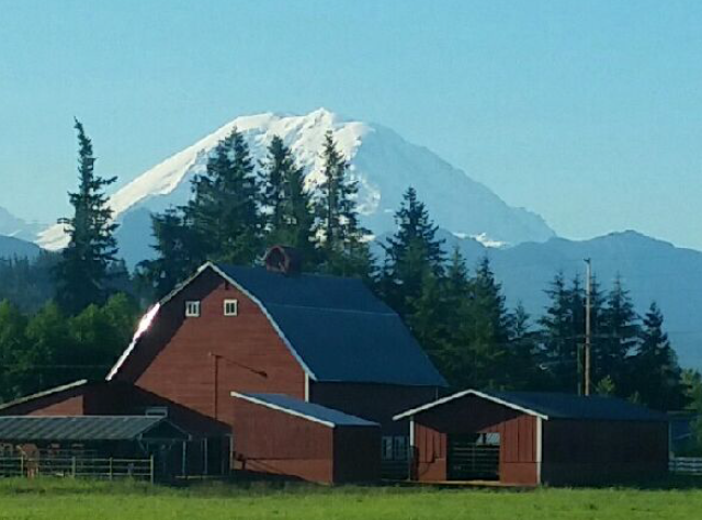 ★あぐりナビ農業求人～Authentic Wagyu,LCC～海外★