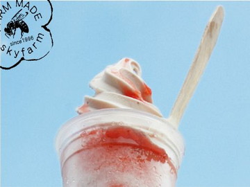 株式会社スカイファーム-6