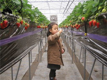 株式会社スカイファーム-2