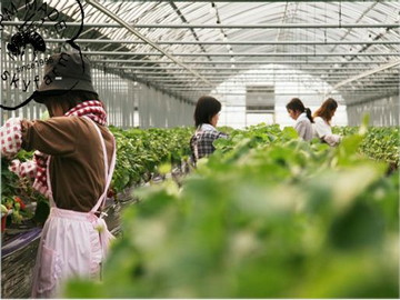 株式会社スカイファーム-4