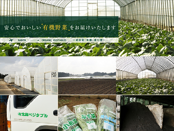 ★あぐりナビ農業求人～有限会社 北総ベジタブル ～千葉県★