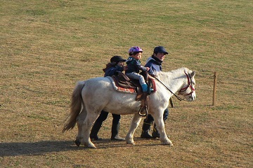 有限会社十和田乗馬倶楽部-3