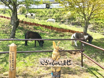 株式会社門屋食肉商事　大野山かどやファーム-3