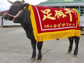 株式会社門屋食肉商事　大野山かどやファーム-1