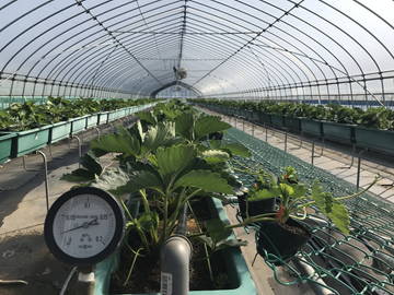 深谷農園-2