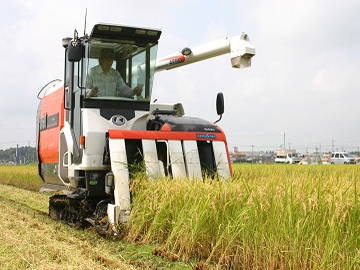 有限会社岩瀬-1