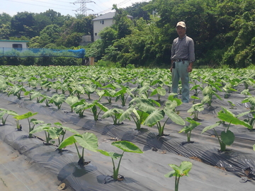 由木農場(由木勉)-1