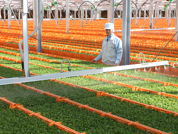 ★あぐりナビ農業求人～株式会社　村上農園～全国各地★
