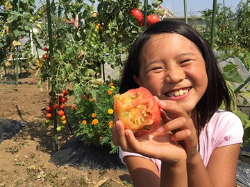 株式会社アグリメディア(シェア畑菜園アドバイザー)-1