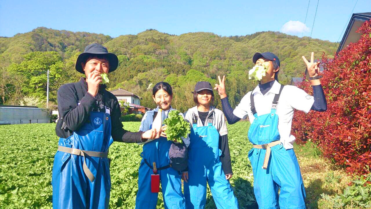 ★あぐりナビ農業求人～株式会社　サイエンズ～群馬県★