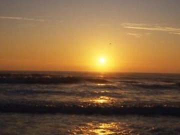 千葉県旭市×野菜/個人【3195】-2