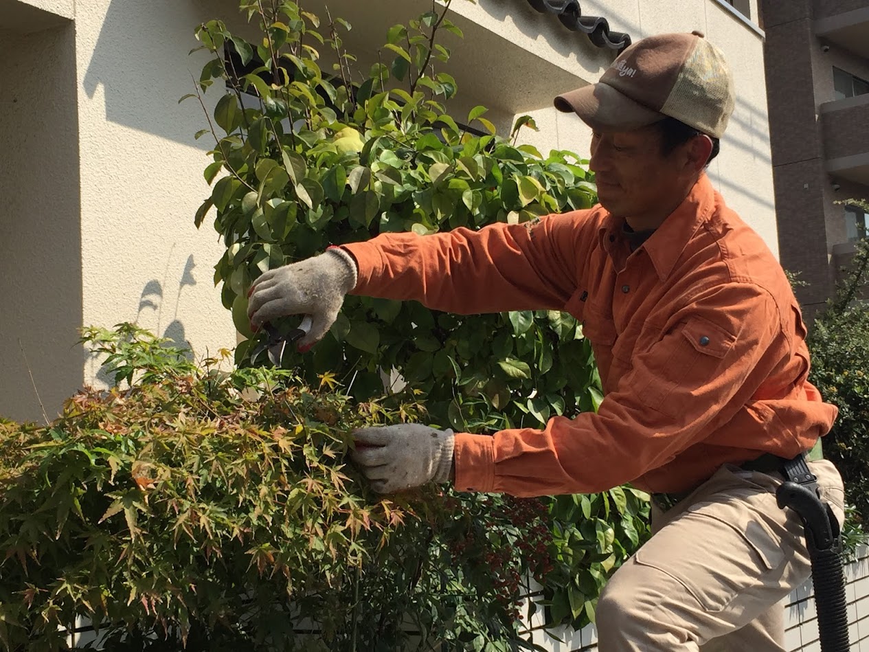 ★あぐりナビ農業求人～株式会社oh庭ya★