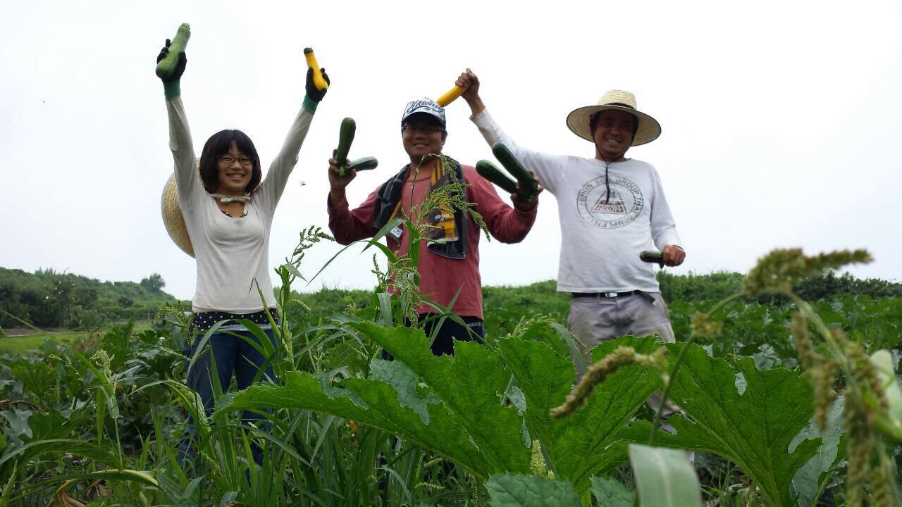 ★あぐりナビ農業求人～株式会社　エスファーム～静岡県★