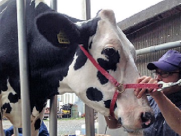 山梨県富士河口湖町×酪農/法人【3139】-6