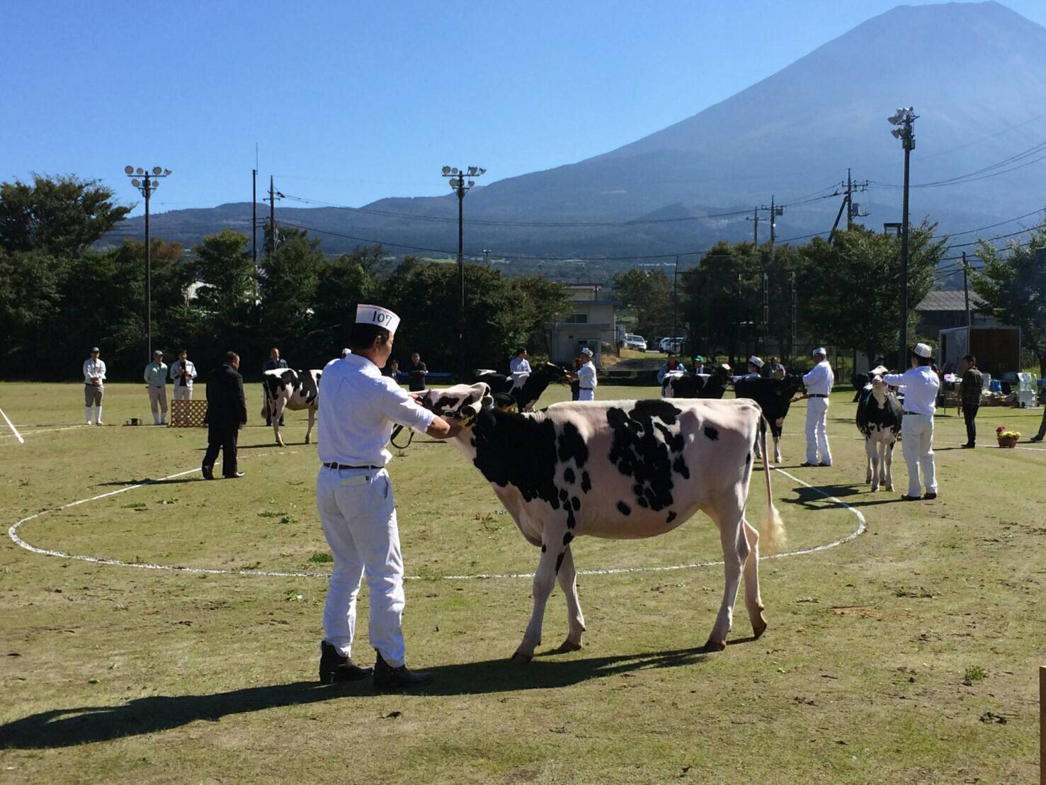 山梨県富士河口湖町×酪農/法人【3139】-3