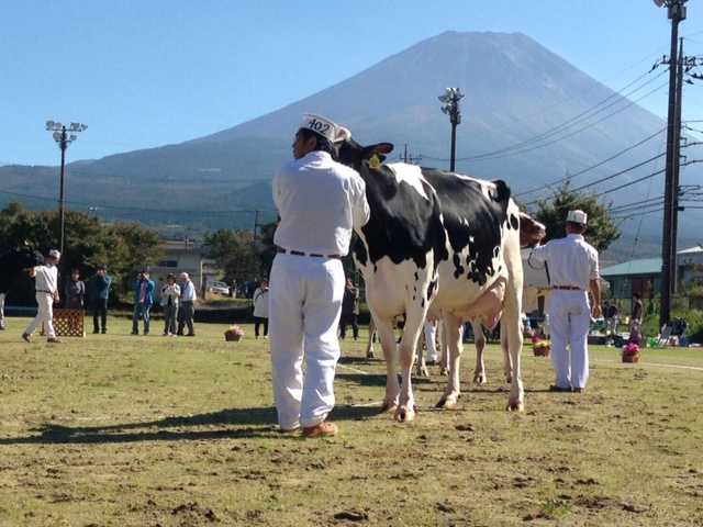 山梨県富士河口湖町×酪農/法人【3139】-4