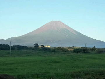 山梨県富士河口湖町×酪農/法人【3139】-1