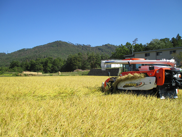 農業法人 信州むらやま農場-top