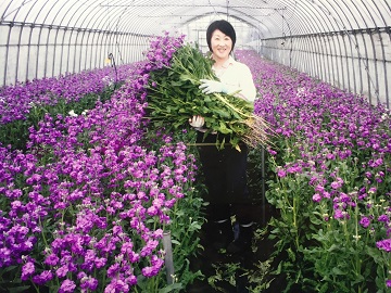 株式会社ファーム山脇-4