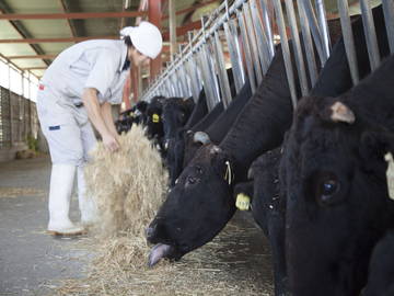 ★あぐりナビ農業求人～有限会社　鳥山牧場～群馬県★