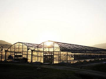 ★あぐりナビ農業求人～豊川農園～茨城県★