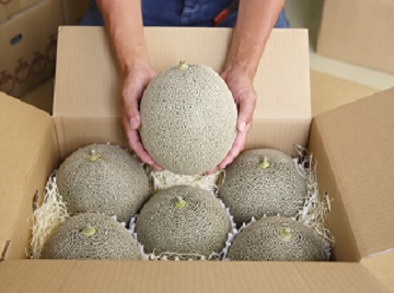 株式会社松井農園-5