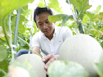 株式会社松井農園-3