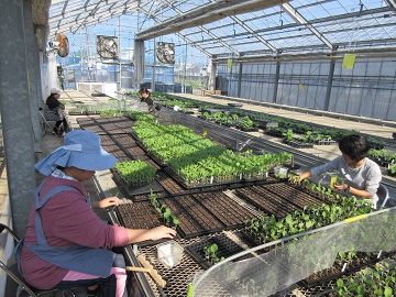 有限会社T・S・ナーサリ四国-5