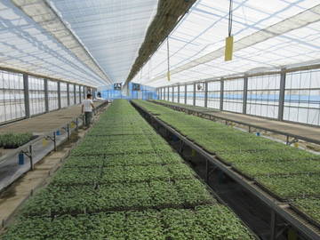 有限会社T・S・ナーサリ四国-4