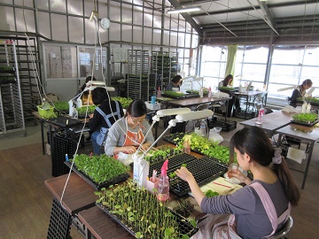 有限会社T・S・ナーサリ四国-2