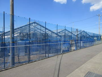 有限会社T・S・ナーサリ四国-3