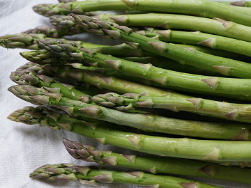 北海道江別市×野菜/法人【4702】-2