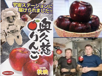 株式会社黒田りんご園-6