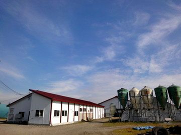 北海道芽室町×酪農/法人【4219】-1