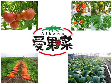 ★あぐりナビ農業求人～愛菜ファーム　株式会社～長崎県★