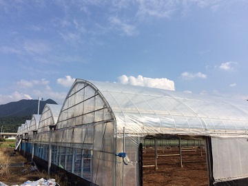 土井農園株式会社-4