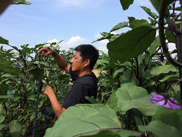 土井農園株式会社-2