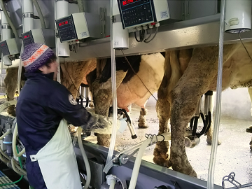 佐藤牧場　佐藤悠-top