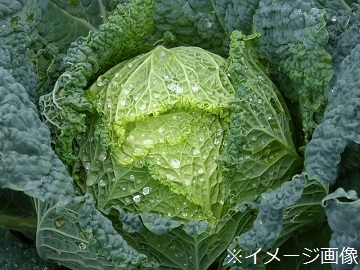 黒岩ファーム-1