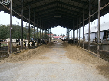 北海道幕別町×酪農/法人【2292】-1