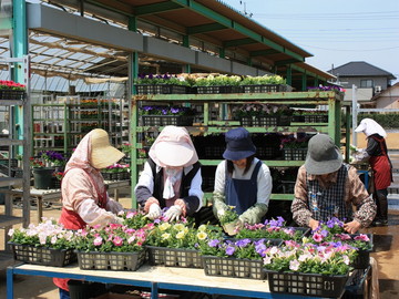 エフメールナガモリ有限会社-5