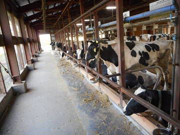 ★あぐりナビ農業求人～ゆうき青森農業協同組合　らくのう支所～青森県★