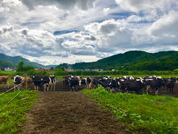 田村牧場-3