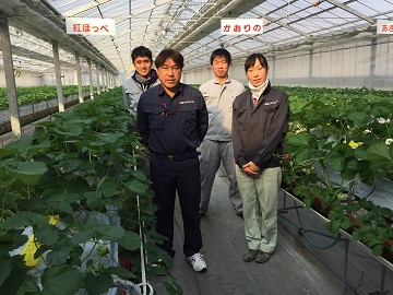 ★あぐりナビ農業求人～株式会社　あぐりスタジアム～埼玉県★