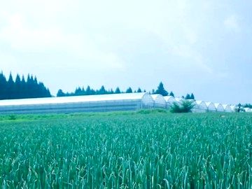 熊本県宇土市×野菜・果樹/法人【0226】-2