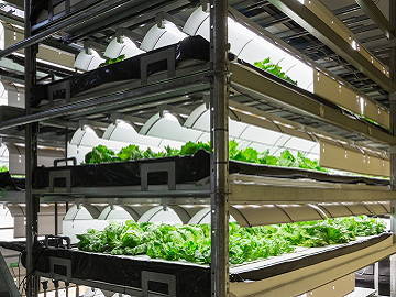神戸市×植物工場/法人【0164】-2