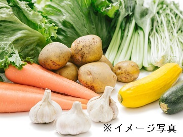 小海町×野菜/個人-top
