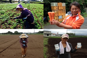 ★あぐりナビ農業求人～有限会社 熊本有機農産～熊本県★