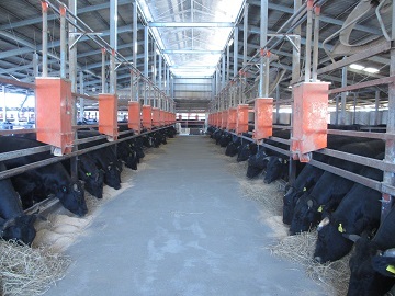 株式会社長谷川農場-4