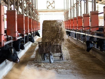 株式会社長谷川農場-6